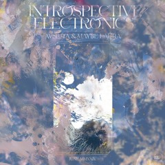 Introspective Electronics x Kala w/ Avsluta & Maybe Laura | Jun 24
