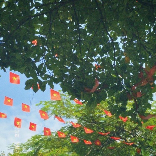 Nhắm mắt thấy mùa hè không lời