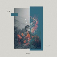 Drop-E - Cobalt (Alexskyspirit Remix)