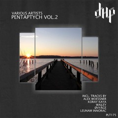 FULL PREMIERE : Wailey - Night Calmness [Polyptych]