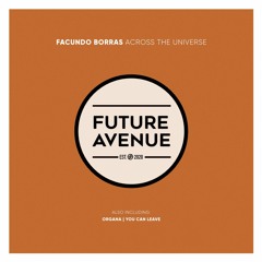 Facundo Borras - You Can Leave [Future Avenue]