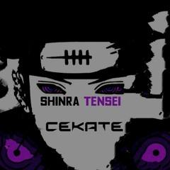 SHINRA TENSEI (FREEDL)