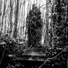 Track 09 (Everything is Dying Around Us)