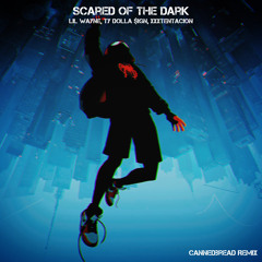 Lil Wayne, TY Dolla $ign, XXXTentacion - Scared of The Dark CannedBread Remix