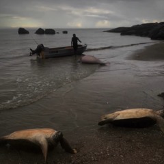 𝐑𝐞𝐬𝐢𝐝𝐮𝐚𝐥𝐬 𝐫𝐦𝐱 ♪♫🥀.m4a