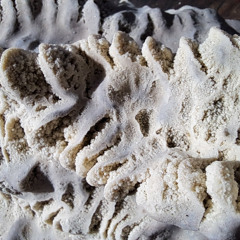 Vöttiv - live @ FenetreOval