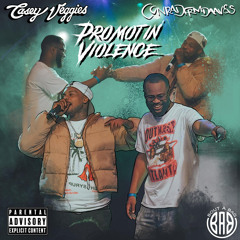 Promotin Violence (feat. Casey Veggies)