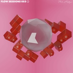 Flow Sessions 053 - Milo Häfliger