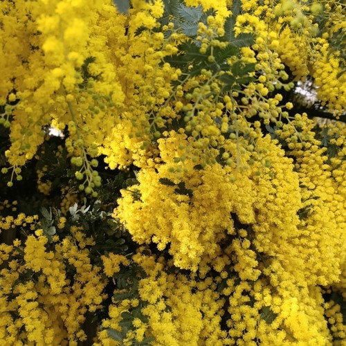 Unsympathetic Circuits