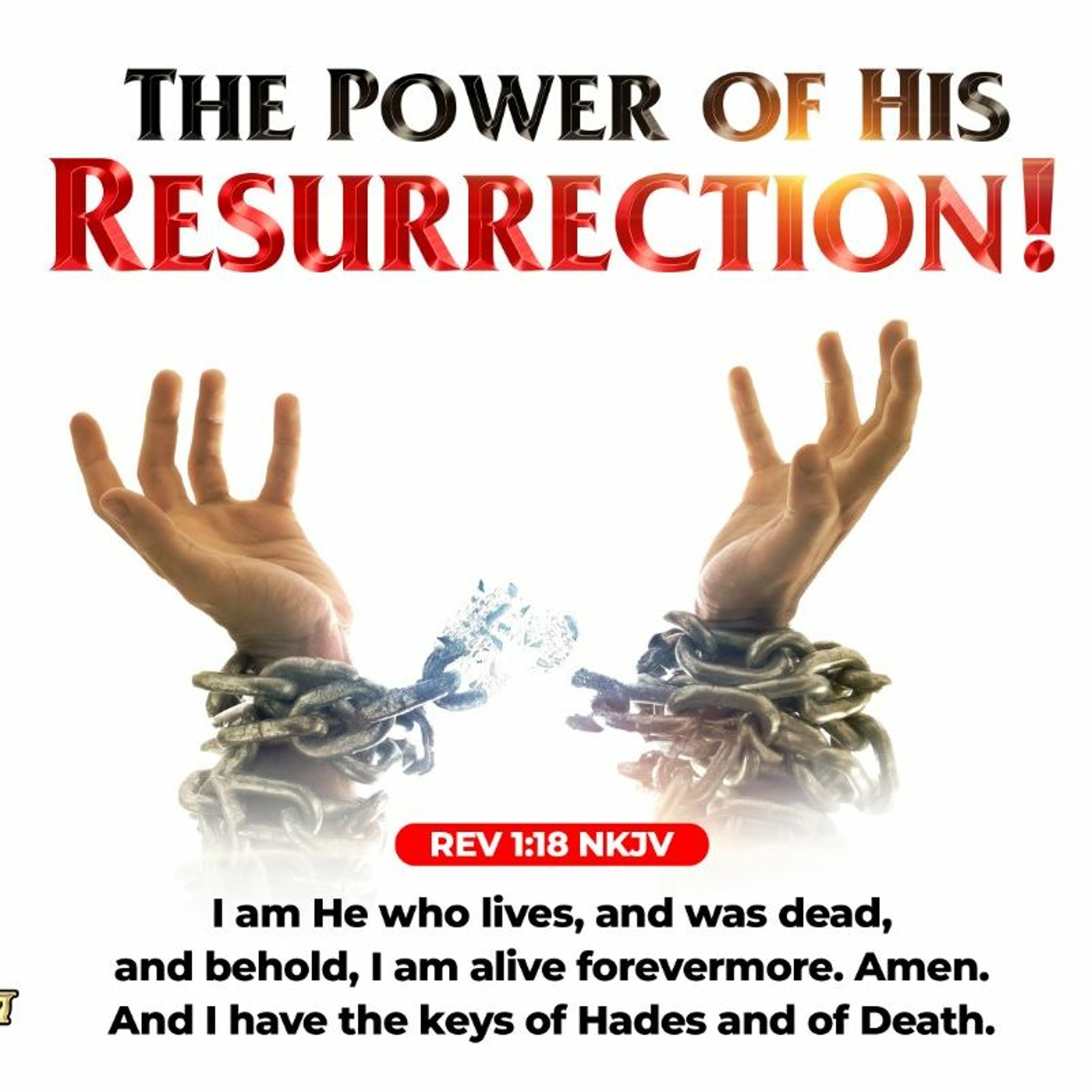 The Word of Grace