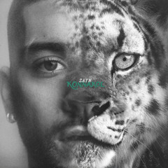 ZAYN - Sideways (Dario Xavier Club Remix) *OUT NOW*