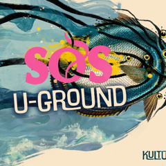 Ālly b2b Tobias Sommer @ SOS U.Groud Lärz 08.11.2025