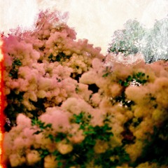 CALM ME DOWN (by bby.bird)