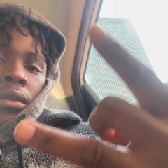 Transportin/Fast
