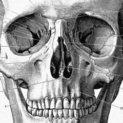 heading for the door