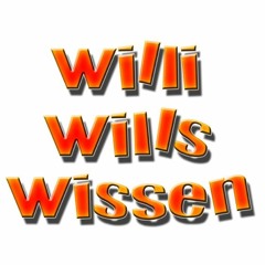 Willi Wills Wissen Intro (dnb Remix)