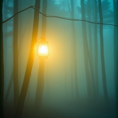 Guiding Light by Shanti Bodhi