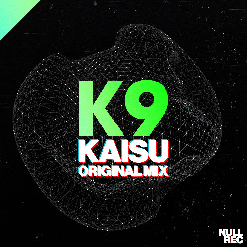 K9 - Kaisu (Original Mix) | Makina, Spanish, Bouncy | Null Records