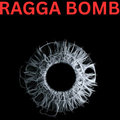 Skrillex - Ragga Bomb with Ragga Twins (Anebo Bootleg)