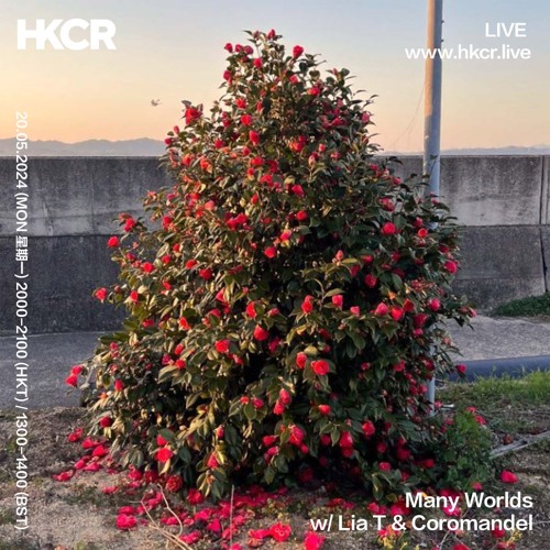 Many Worlds w/ Lia T & Coromandel - 20/05/2024