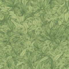 natures20 - biance