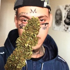 Темный гордый - с тонированной мордой