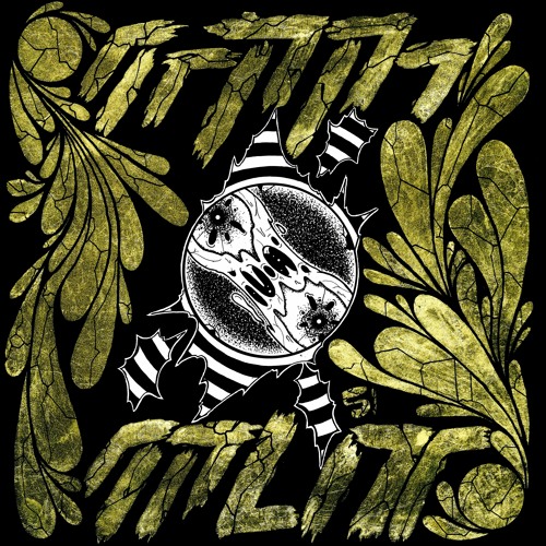 Seppa - Split LP [OUT NOW]