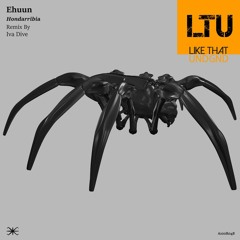 Premiere: Ehuun - Hondarribia (Iva Dive Remix) | A100 Records