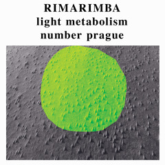 Glass Abattoir - End