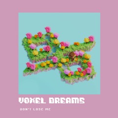 Voxel Dreams (Don't Lose Me)