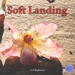 Soft Landing