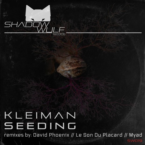 Premiere: Kleiman "Seeding" (Le Son Du Placard Remix) - Shadow Wulf