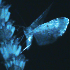 Big House On A Mountain