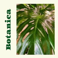 MONDAY MIX - SGMM041 “Botanica”