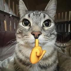 Khu tao sống  remix tiktok.mp3