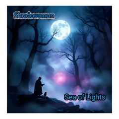 Sea Of Lights