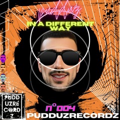 Pudduz - In A Different Way