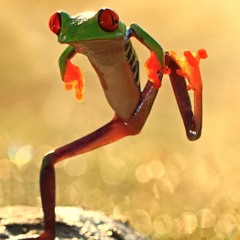 FROG DROP feat. M-phib