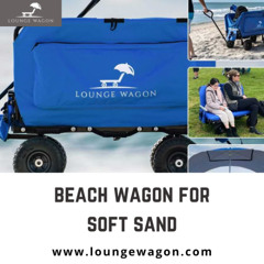 Best Beach Wagons for Soft Sand That Make Transporting Gear Easy