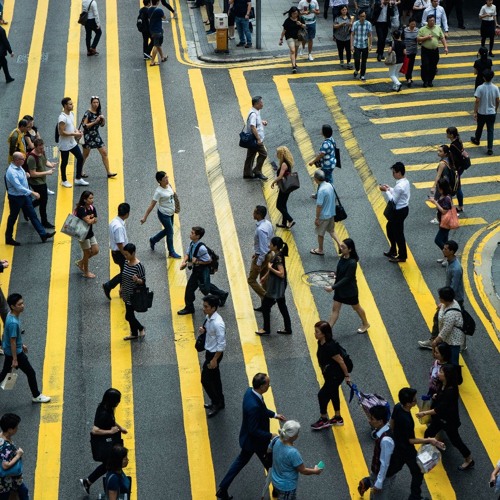 Social - Experiment (DMDR)
