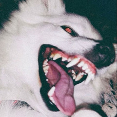 I Couldn't - Lucille (leak)