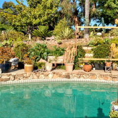 Larsens' Oasis