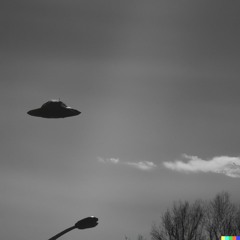 Visitors