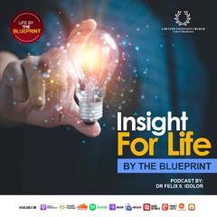 Insight For Life By The Blueprint