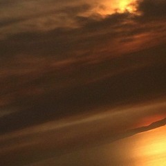 i'll never really know you