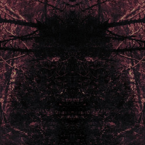 Violent manifestations. [Psychosis//Hatred]