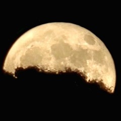 Orbit (Phases of Moon)