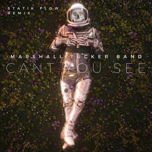 Marshall Tucker Band - Cant You See (Statik Flow Remix)