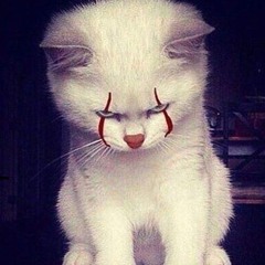 you’ll float too w/ zai {congress}