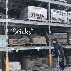Bricks